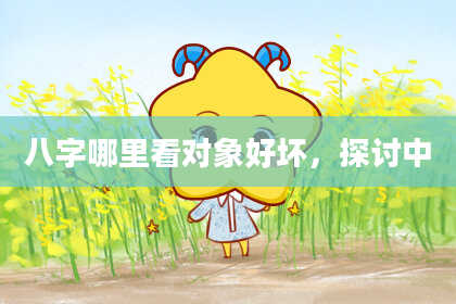 八字哪里看对象好坏，探讨中
