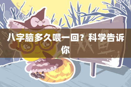 八字脑多久喂一回？科学告诉你