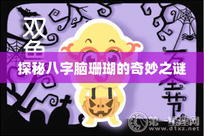 探秘八字脑珊瑚的奇妙之谜