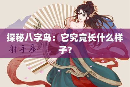 探秘八字鸟:它究竟长什么样子?