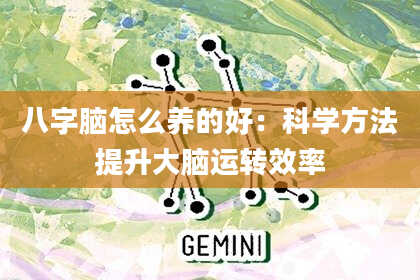 八字脑怎么养的好：科学方法提升大脑运转效率