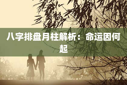 八字排盘月柱解析：命运因何起