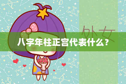 八字年柱正宫代表什么？