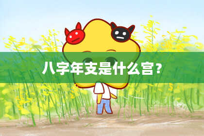 八字年支是什么宫？