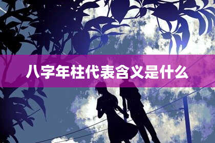 八字年柱代表含义是什么
