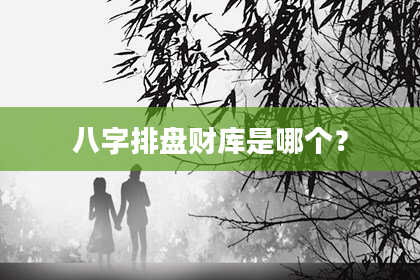 八字排盘财库是哪个？