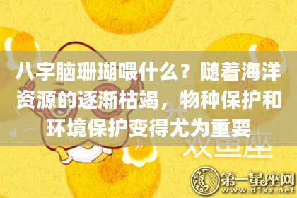 八字脑珊瑚喂什么？随着海洋资源的逐渐枯竭，物种保护和环境保护变得尤为重要