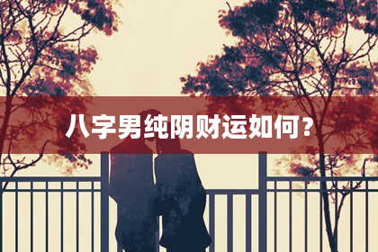 八字男纯阴财运如何？