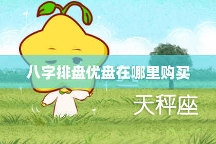 八字排盘优盘在哪里购买