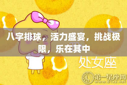 八字排球，活力盛宴，挑战极限，乐在其中
