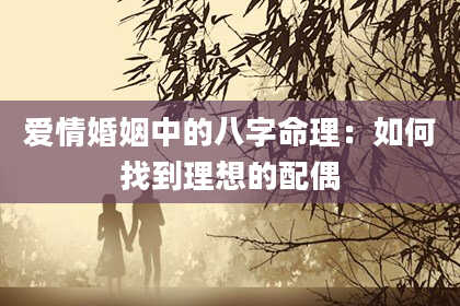 爱情婚姻中的八字命理：如何找到理想的配偶