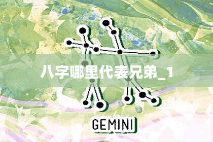 八字哪里代表兄弟_1