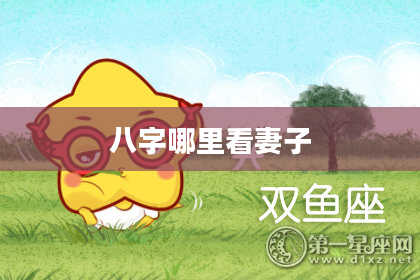 八字哪里看妻子