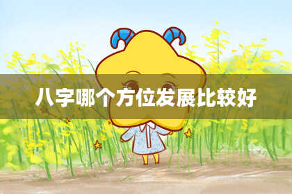 八字哪个方位发展比较好
