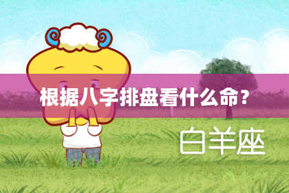 根据八字排盘看什么命？