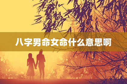八字男命女命什么意思啊