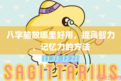 八字脑放哪里好用，提高智力、记忆力的方法
