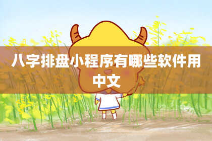 八字排盘小程序有哪些软件用中文