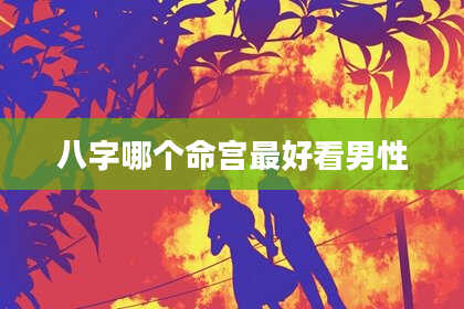 八字哪个命宫最好看男性