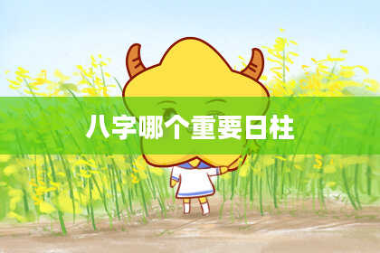 八字哪个重要日柱