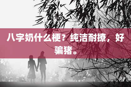 八字奶什么梗？纯洁耐撩，好骗猪。