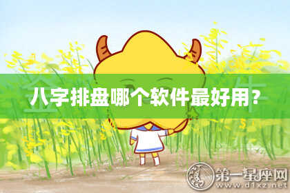 八字排盘哪个软件最好用？