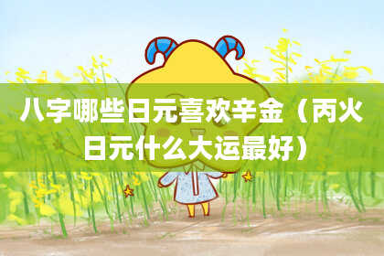 八字哪些日元喜欢辛金（丙火日元什么大运最好）