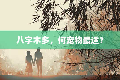 八字木多，何宠物最适？