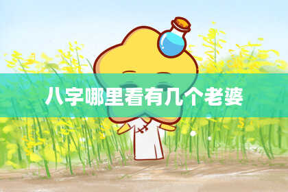 八字哪里看有几个老婆