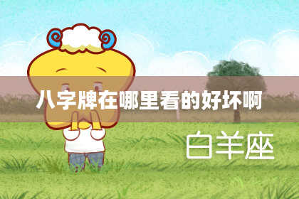 八字牌在哪里看的好坏啊