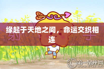 缘起于天地之间,命运交织相连