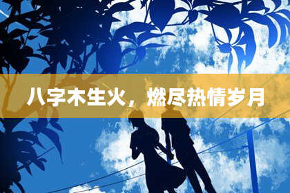 八字木生火，燃尽热情岁月