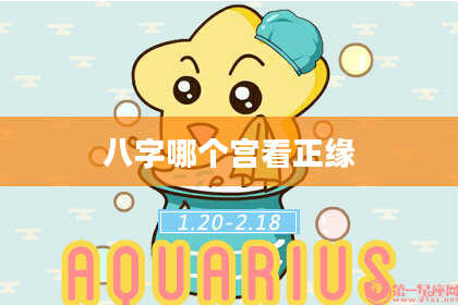 八字哪个宫看正缘