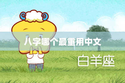八字哪个最重用中文