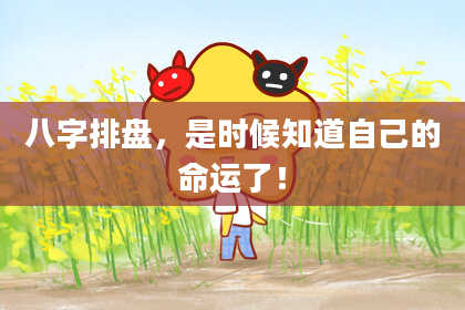 八字排盘，是时候知道自己的命运了！
