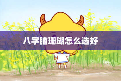 八字脑珊瑚怎么选好
