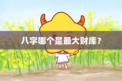 八字哪个是最大财库？