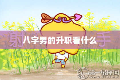 八字男的升职看什么