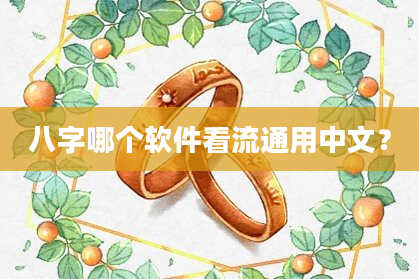 八字哪个软件看流通用中文？