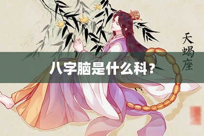 八字脑是什么科？