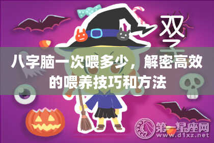 八字脑一次喂多少，解密高效的喂养技巧和方法