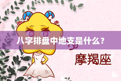 八字排盘中地支是什么？