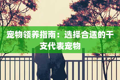 宠物领养指南：选择合适的干支代表宠物
