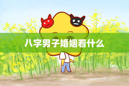 八字男子婚姻看什么