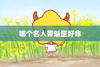 哪个名人带魁罡好命