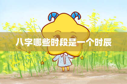 八字哪些时段是一个时辰