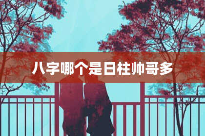 八字哪个是日柱帅哥多