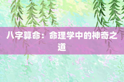 八字算命：命理学中的神奇之道