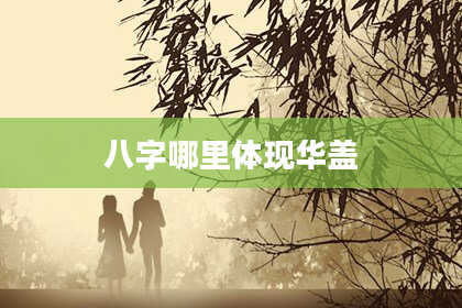 八字哪里体现华盖