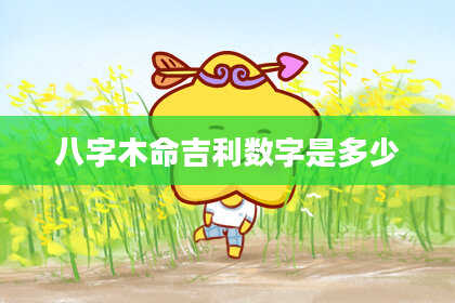 八字木命吉利数字是多少